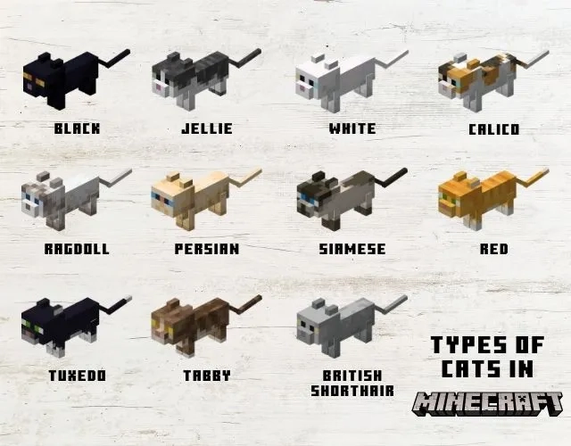 Cats (Minecraft)
