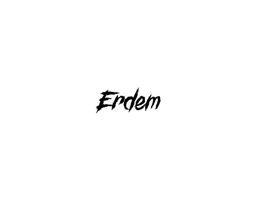 Erdem(Youtube audio dubbing content producer)