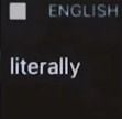Literally A Guy Trying To Pronounce Literally Meme