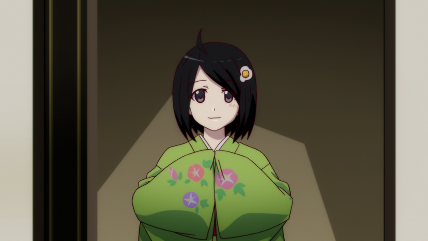 Tsukihi Araragi (Monogatari Series)