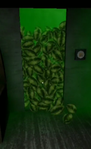 Watermelons in closet meme
