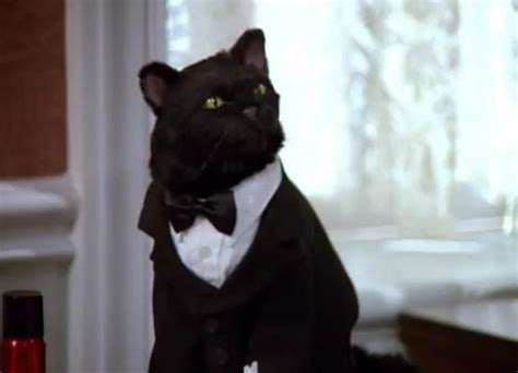 Salem Saberhagen (Rick Bakay) [Sabrina The Teenage Witch - TV Series]