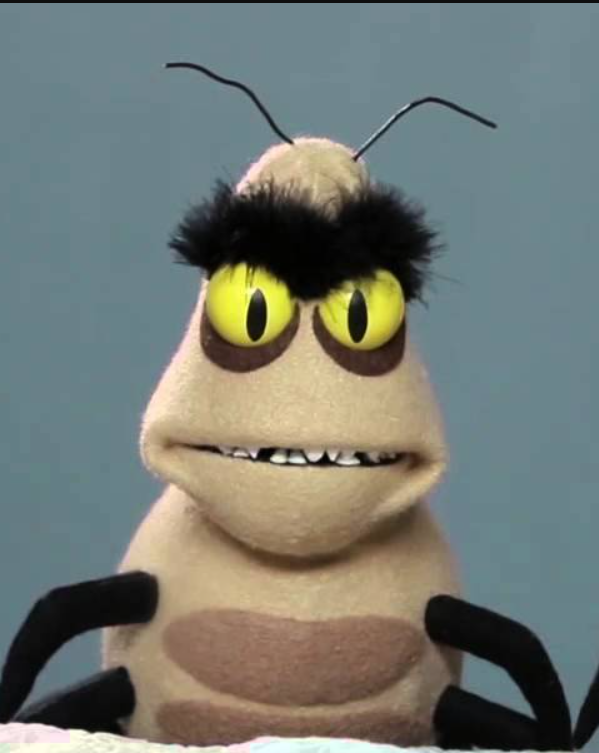 Bed Bug 1