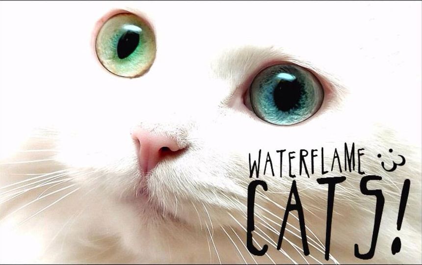 Waterflame - Cats! (Drums)
