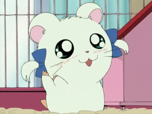 Hamtaro - Bijou
