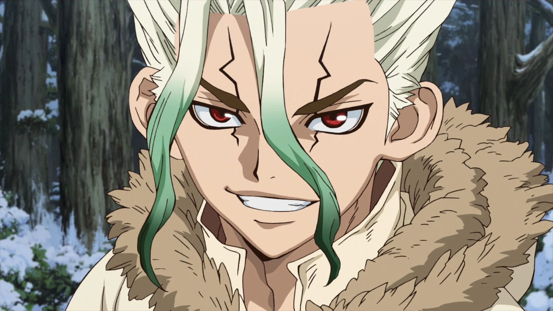 Ishigami Senku (Dr. Stone)