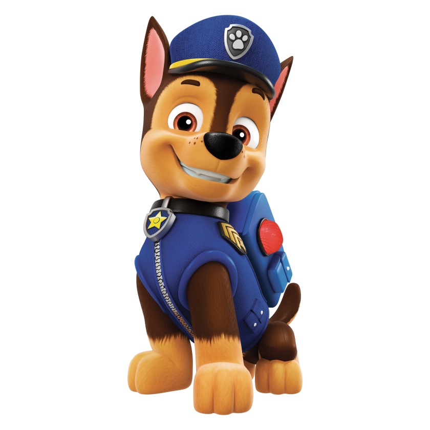 Paw Patrol Chase
