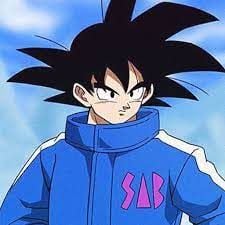 Son Goku