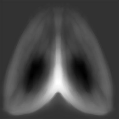 fish 04