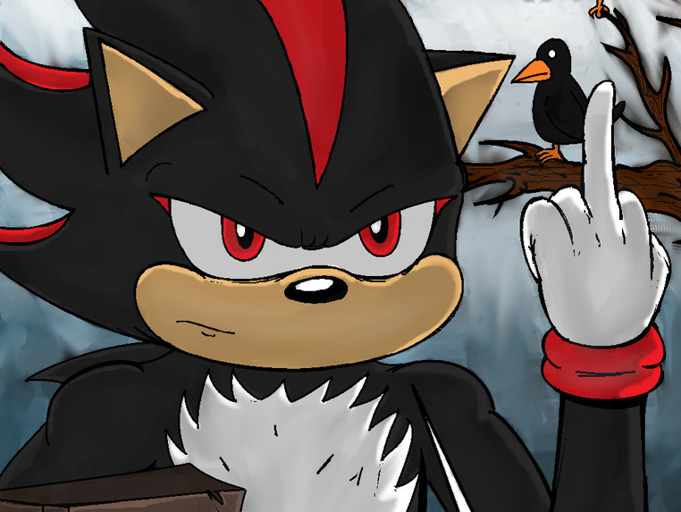 Shadow The Hedgehog
