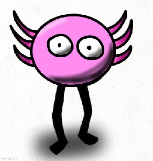 KinitoPET