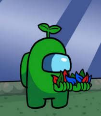 Stoner