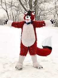 SamsonTheCatFox