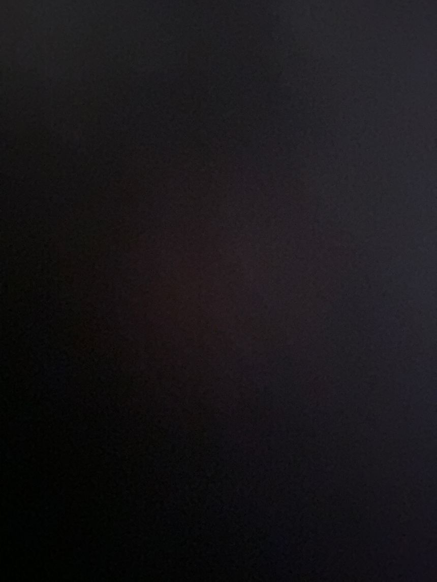 Shawn Ai 2