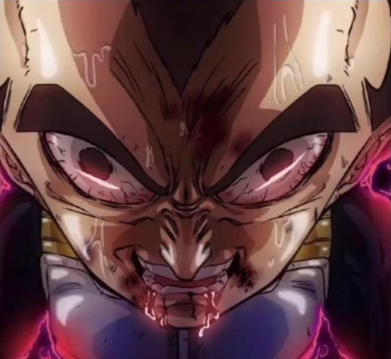 vegeta fr (eric legrand)