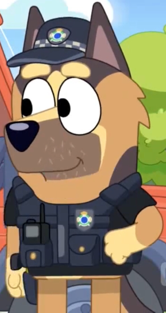 QLD Policeman