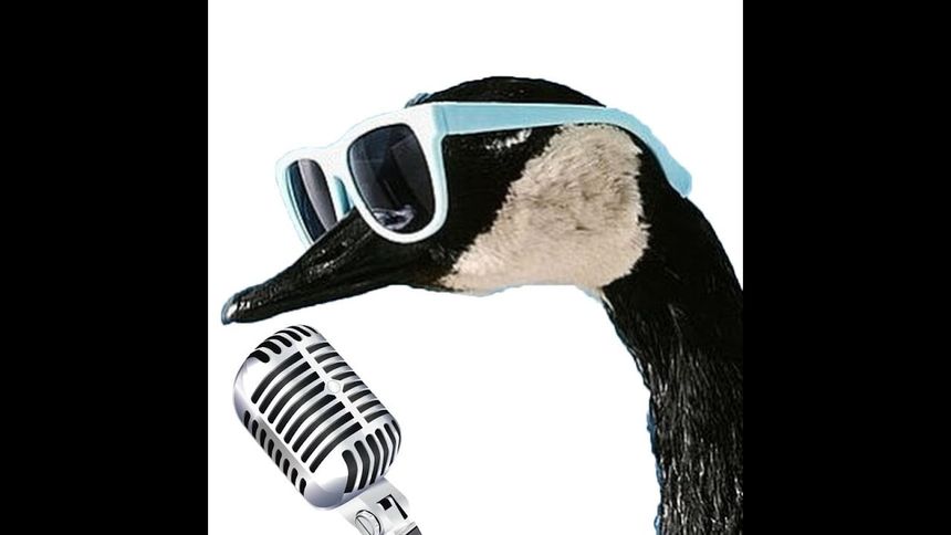 Autotuned Goose