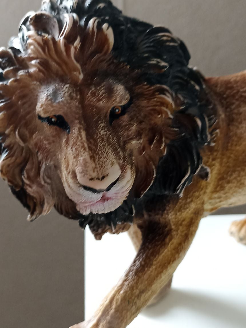 Uncle Joe the lion