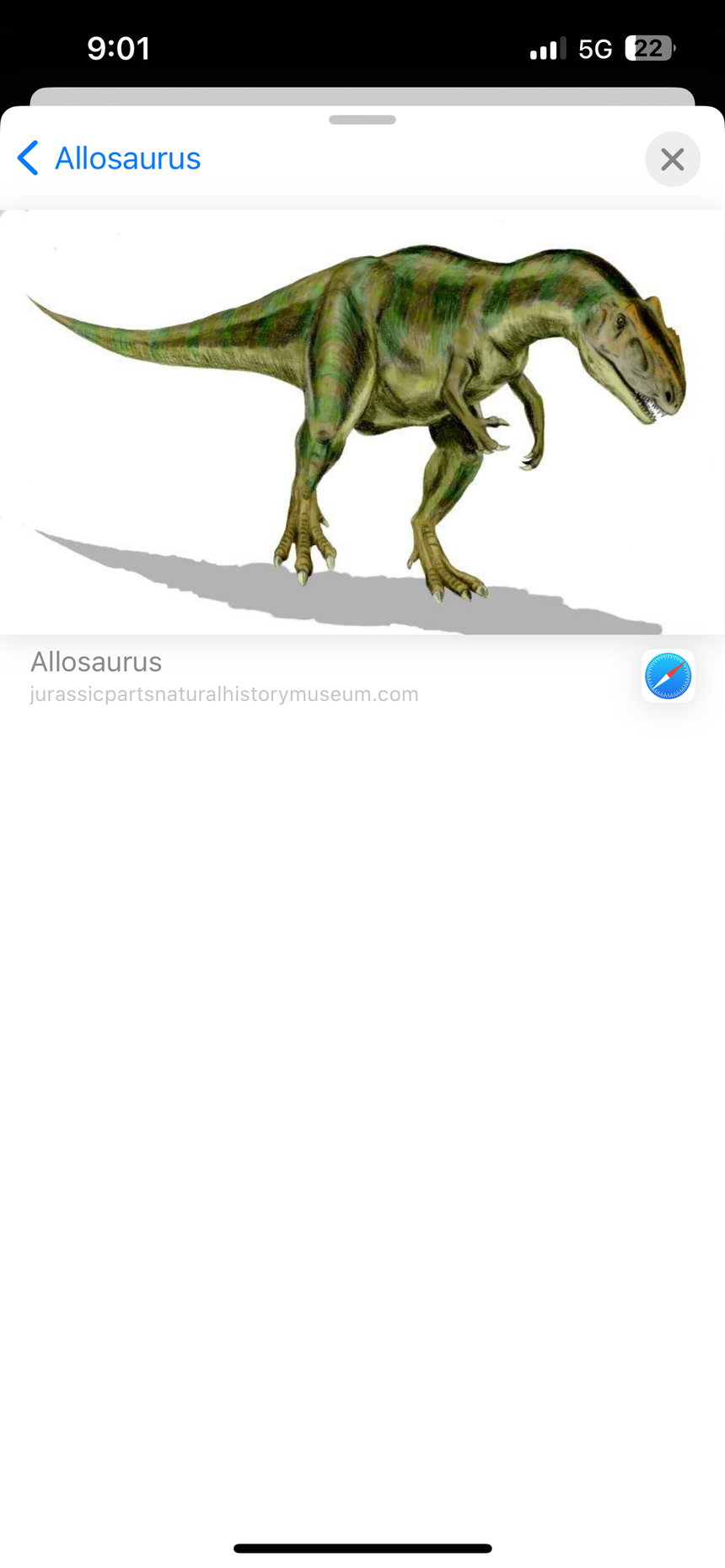 Allosaurus