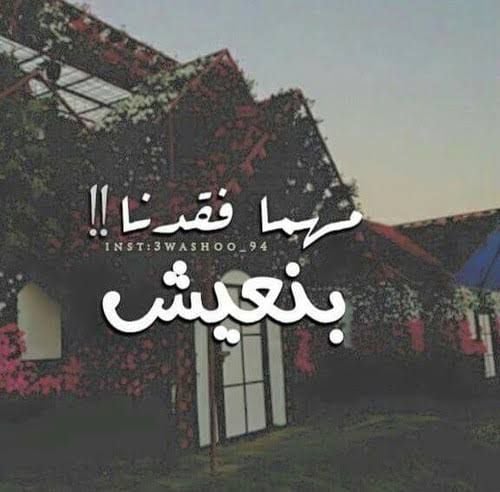 wael