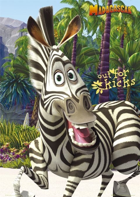 Marty The Zebra