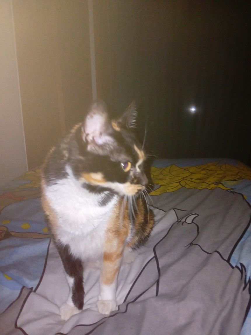 Nina