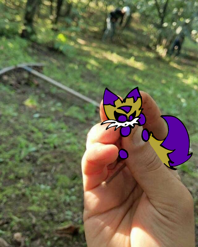 NahuelFox
