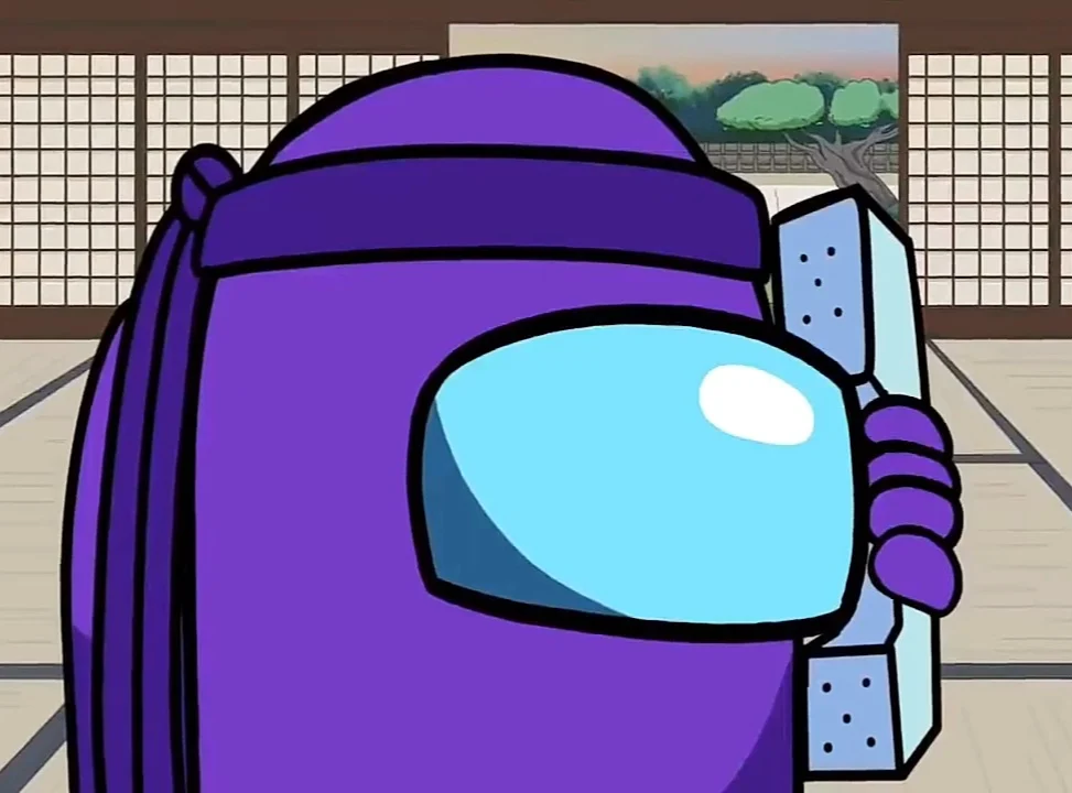 Ninja (among us logic)