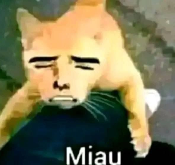 Miguel