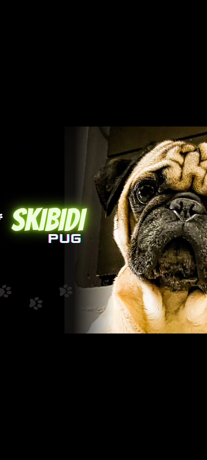 SKIBIDI PUG
