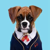 Spark from Pup Academy