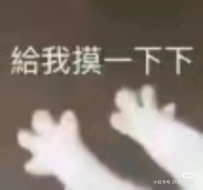 ZH