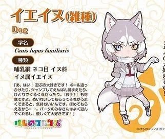 Domestic Dog (Mixed-Breed)