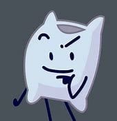 Pillow(The Official Canon To Everything)