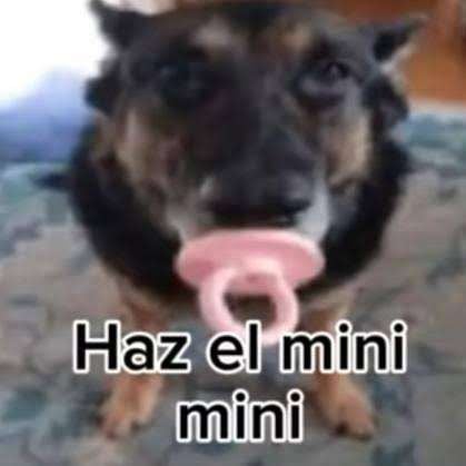 Sajam