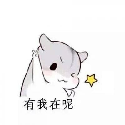 邓zq