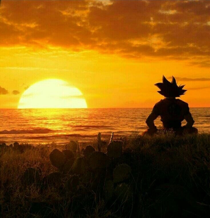 Vegeta EUA