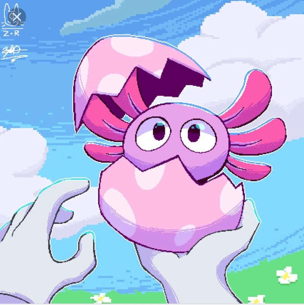 kinito pet