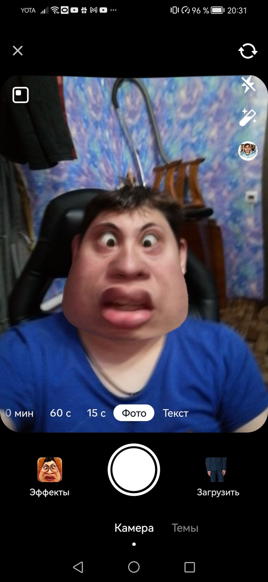 Peltnik