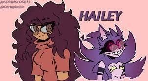 Hailey (District EXE)