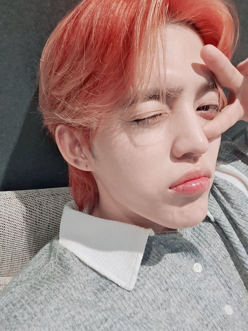 S.coups(seventeen)