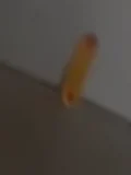 Cachorro quente