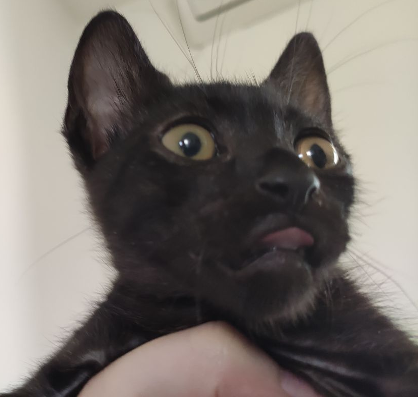 idk what is that
