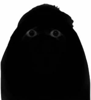 Angry Muncii
