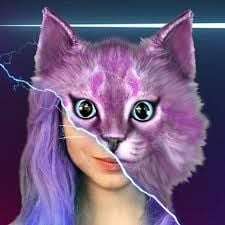 Кошка Лана