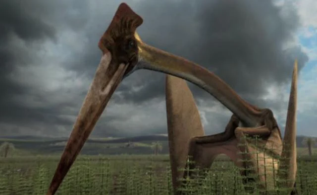 Hatzegopteryx thambema (Planet Dinosaur)