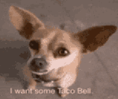 Gidget (Trained ONLY on "Yo Quiero Taco Bell")
