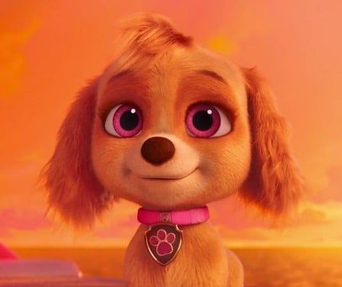 Skye Paw Patrol español latino