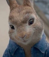 Peter Rabbit (James Corden)