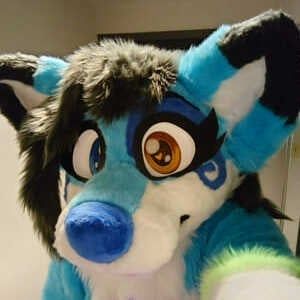 Stormi Folf